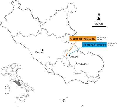 Dietary Adaptations of Early and Middle Pleistocene Equids From the Anagni Basin (Frosinone, Central Italy)